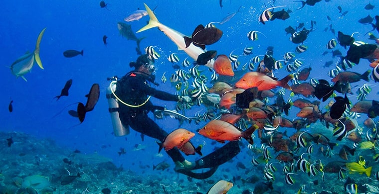 Snorkeling slide 3-min